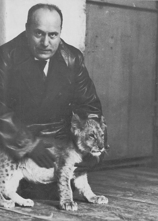 DIDASCALIA:
                                                          Benito
                                                          Mussolini
                                                          domatore.
                                                          Altern
                                                          sorrisi e
                                                          minacce.
                                                          Intervenne in
                                                          Parlamento e
                                                          rimbecc
                                                          parlamentari
                                                          illustri. In
                                                          un paio d'anni
                                                          impose un
                                                          regime che le
                                                          opposizioni
                                                          non videro
                                                          arrivare.