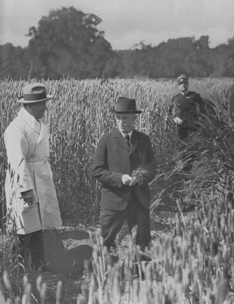 Vittorio
                                                          Emanuele III,
                                                          �il Re
                                                          Borghese�, e
                                                          Benito
                                                          Mussolini in
                                                          un campo
                                                          durante la
                                                          �Battaglia del
                                                          grano�